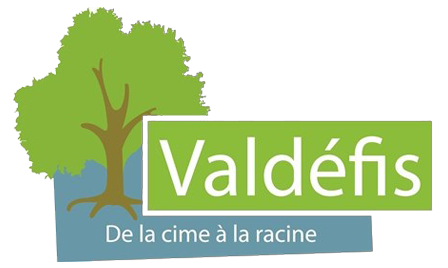 A-logo_validefis-ssfond