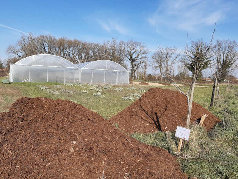 Lesmainssurterre-Bout-de-champ