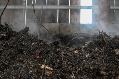 un-tas-de-compost-en-cours-de-maturation-photo-franck-lallemand-1738351888