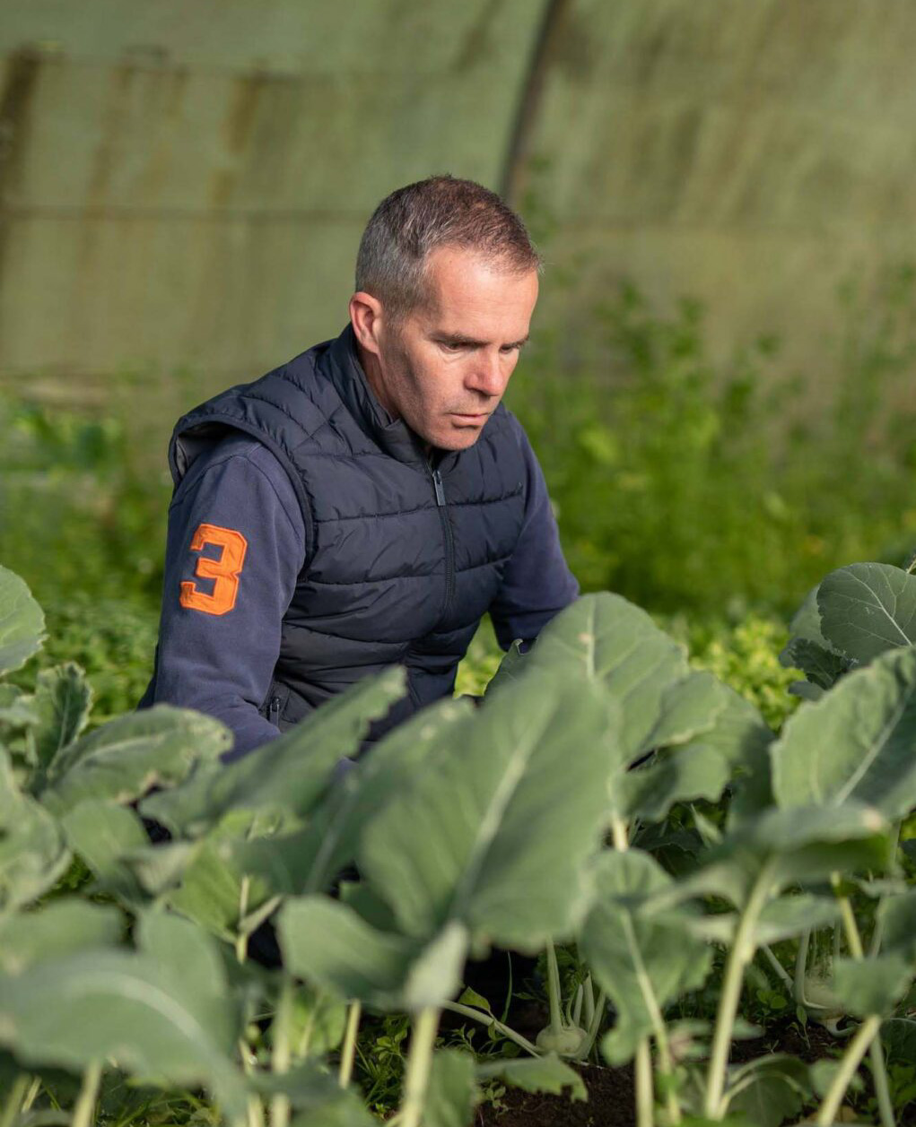 agriculteur-maraicher-compost-in-situ-1-1024x1536
