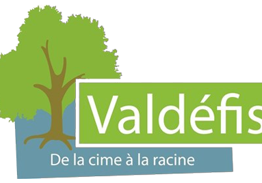 A-logo_validefis-ssfond